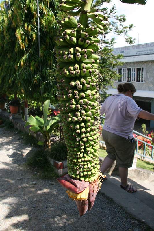 India & Nepal 2011 - 0509